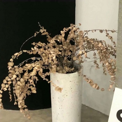 德保福瑞交流群